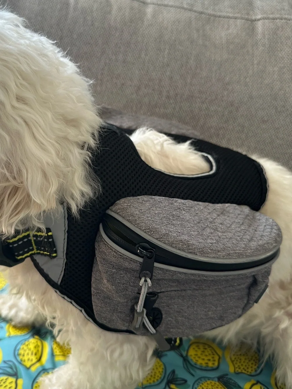 NEW Arcadia Trail Dog Harness Reflective Backpack Mesh lightweight grey S M pet